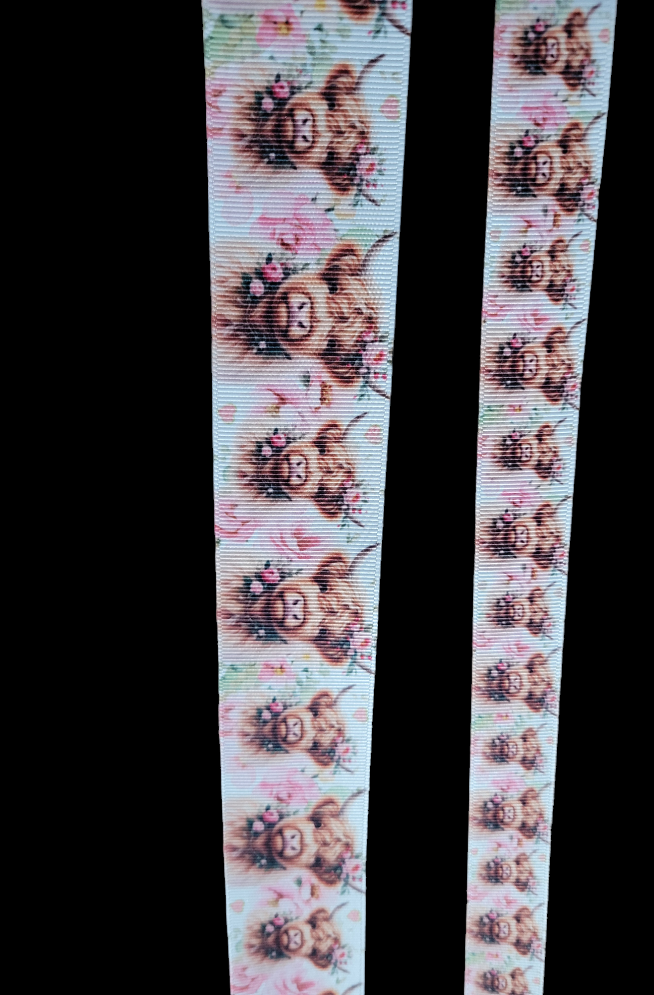 USDR Cows on white background grosgrain ribbon - Sold by the Yard