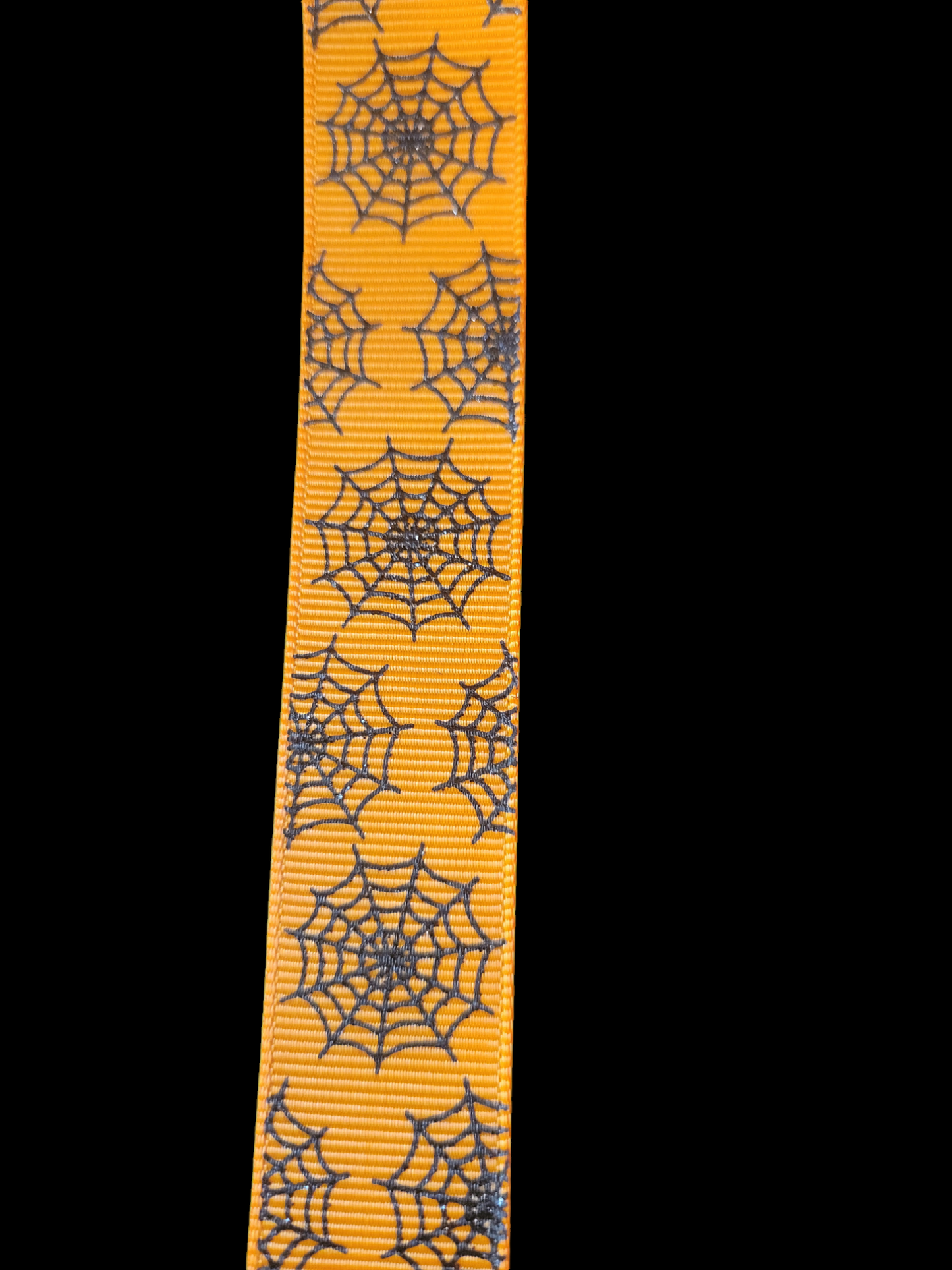 USDR Spider Web Halloween ribbon - Sold by the Yard
