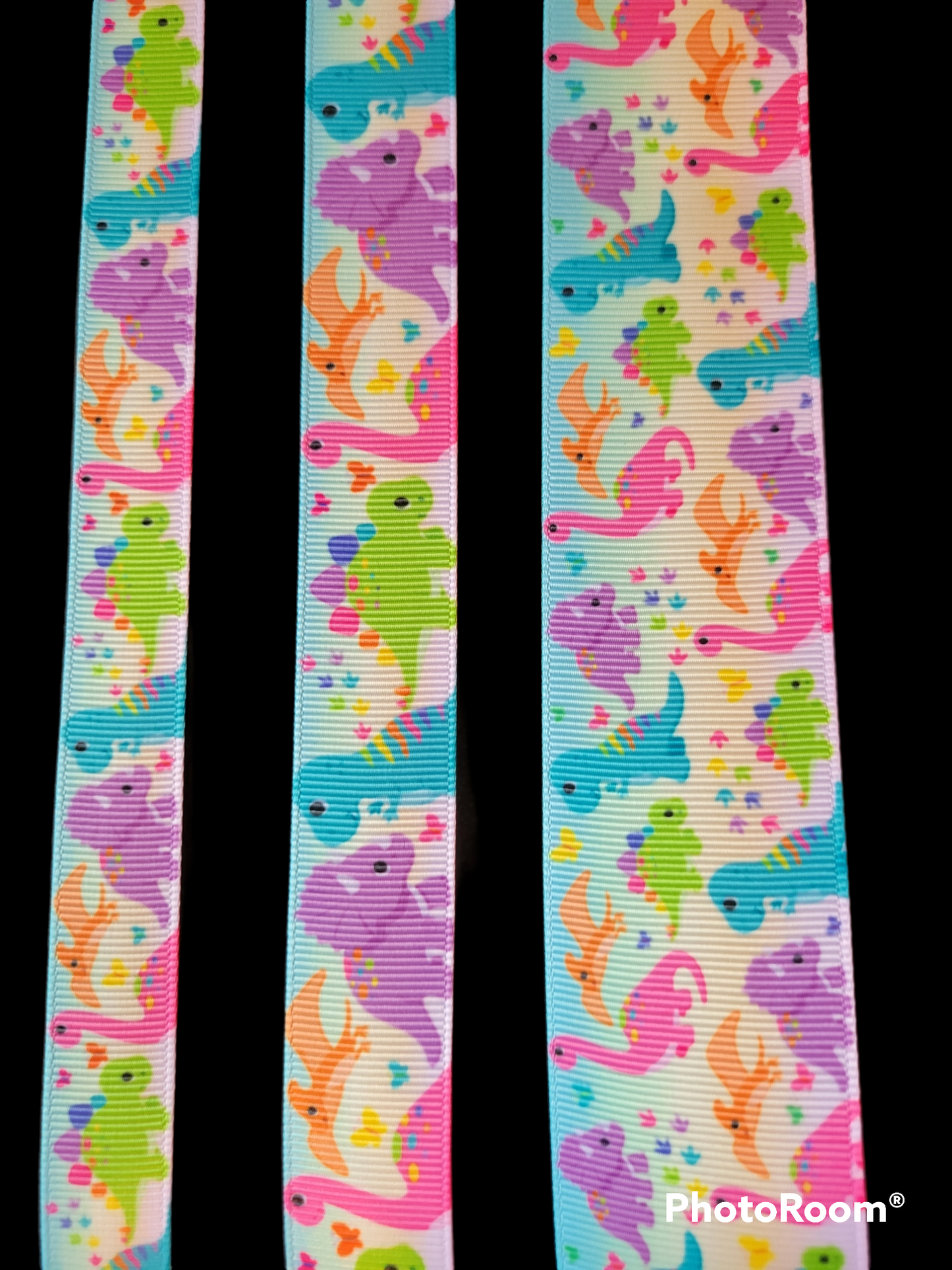 USDR Dinosaur grosgrain ribbon
