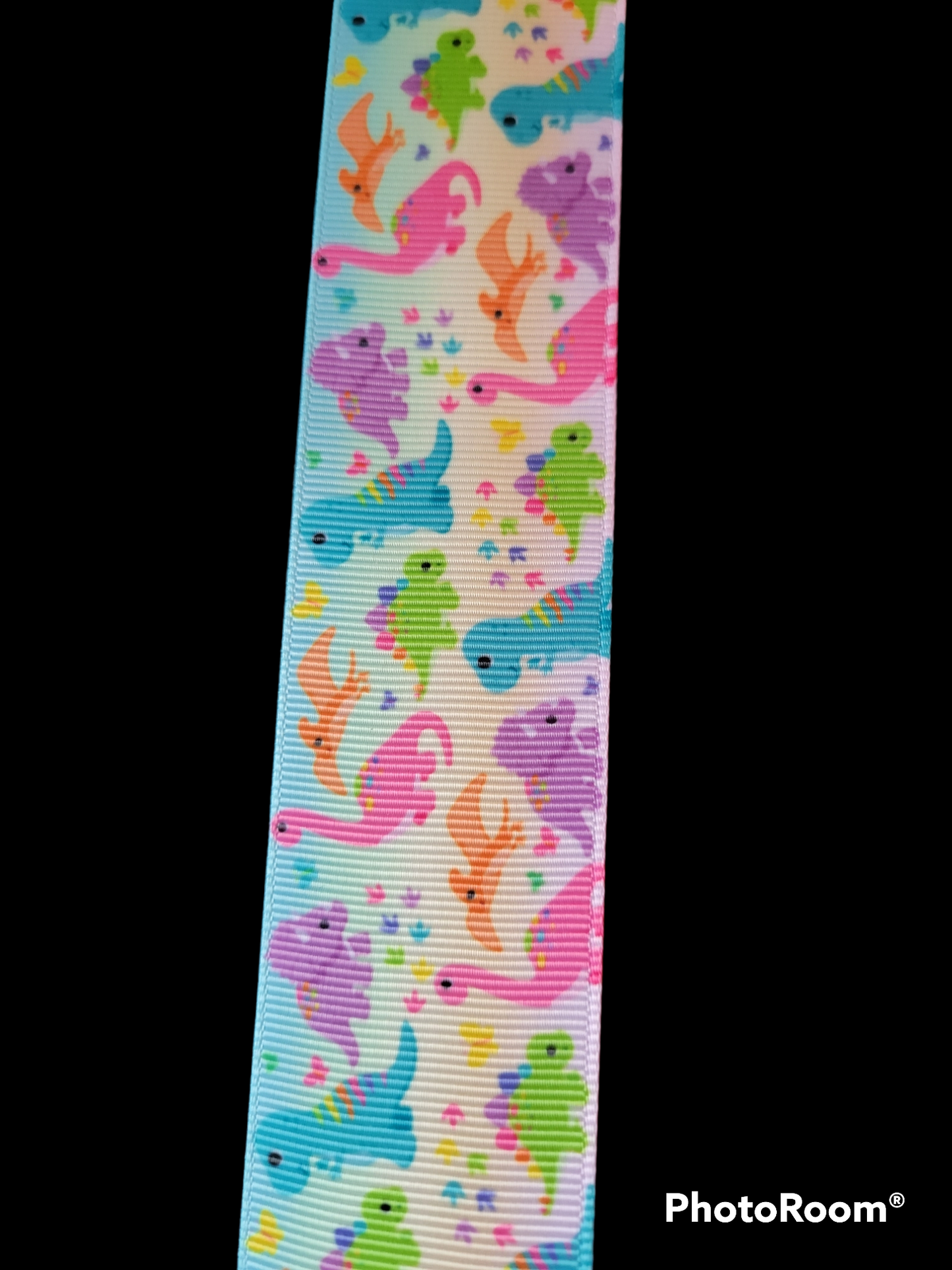 USDR Dinosaur grosgrain ribbon