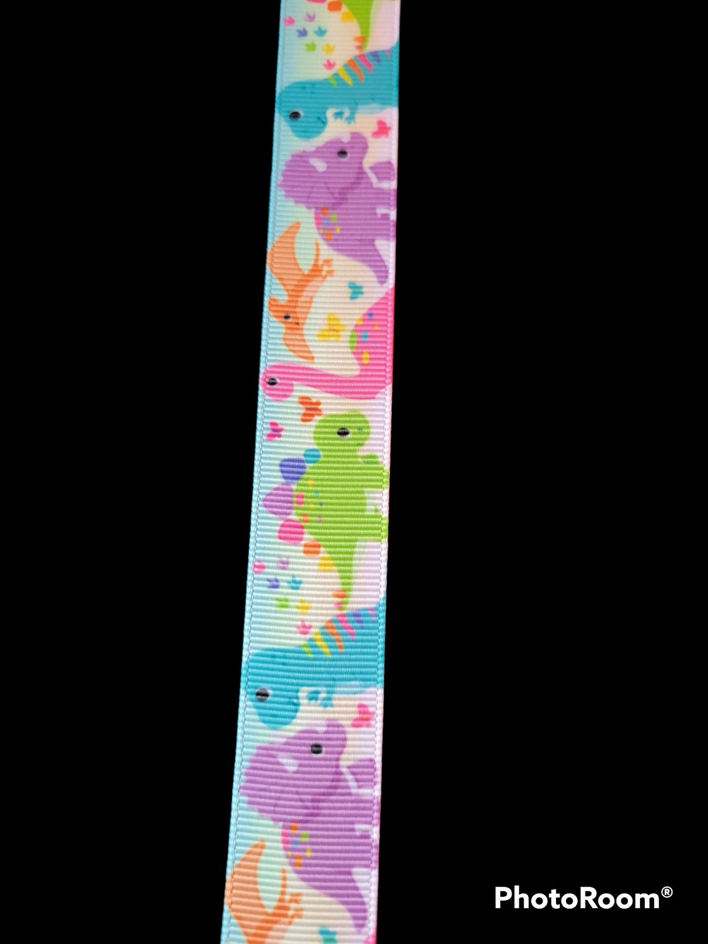 USDR Dinosaur grosgrain ribbon