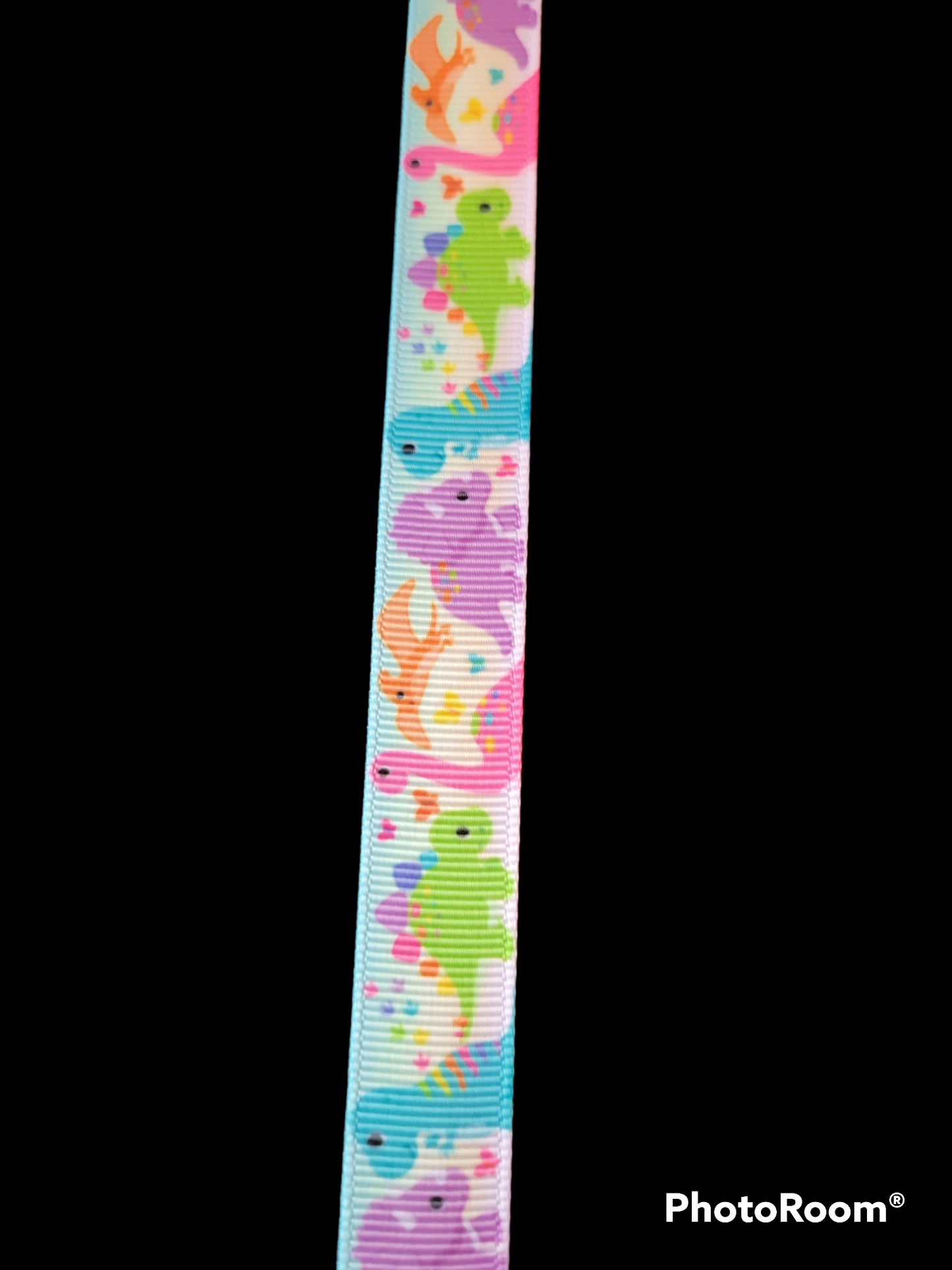 USDR Dinosaur grosgrain ribbon